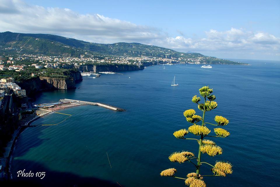 Sorrento Coast Relais Ξενοδοχείο Meta Εξωτερικό φωτογραφία